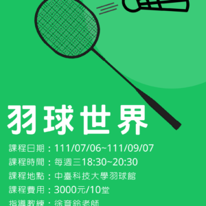 羽球世界